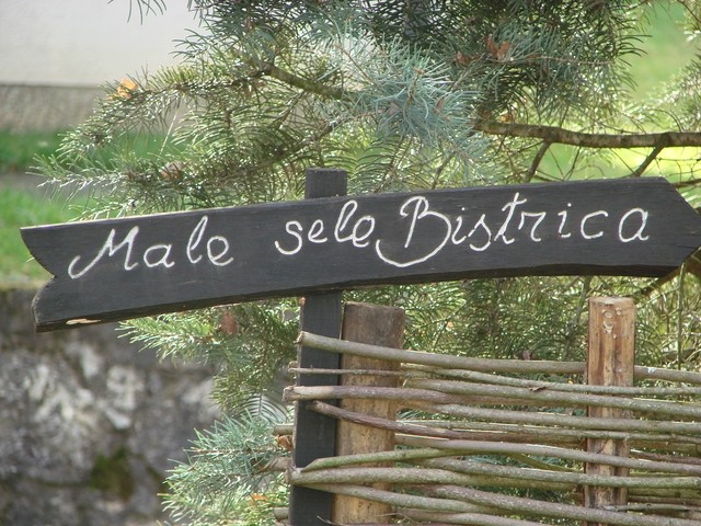 male sele bistrica tabla